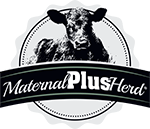 Maternal Plus Logo